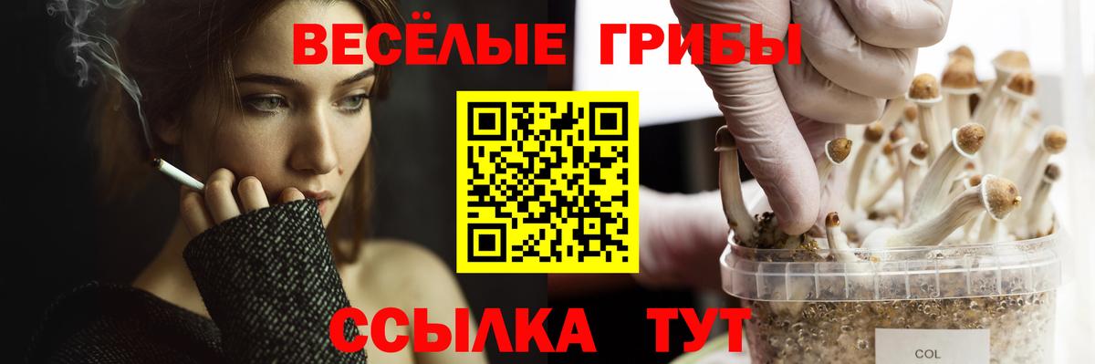 Галлюциногенные грибы MAGIC MUSHROOMS  Вход с VPN  Светлоград 