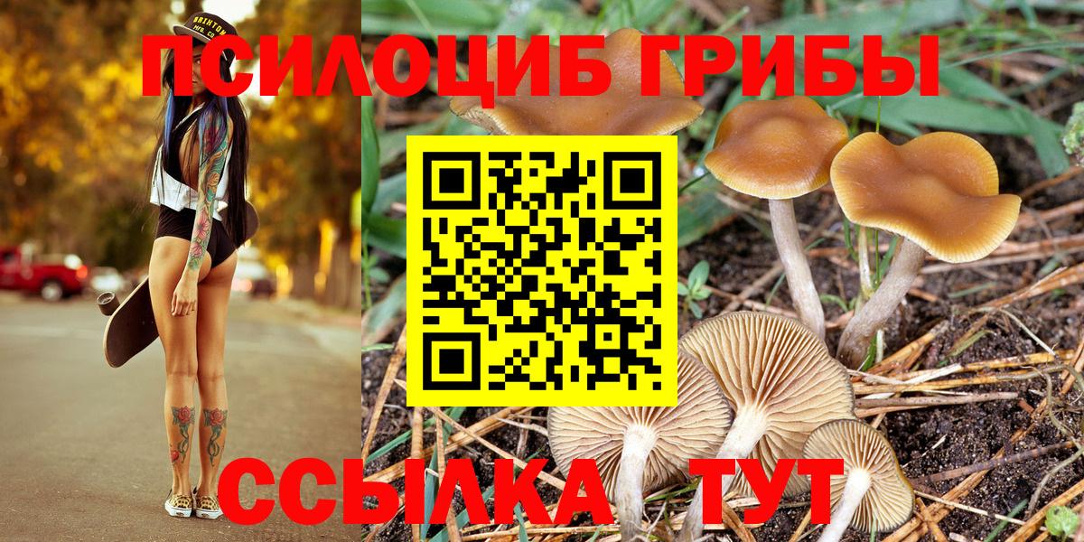 Псилоцибиновые грибы GOLDEN TEACHER Светлоград